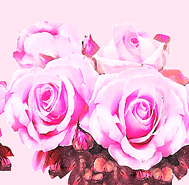 玫瑰花朵碎花回位圖片