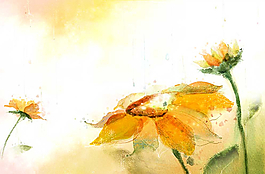 时尚手绘花卉设计图片