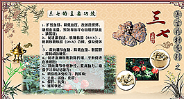 中药图片