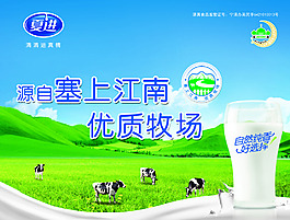 奶牛海報