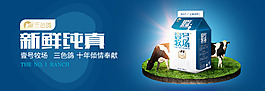 三色鴿海報(bào)  牛奶banner