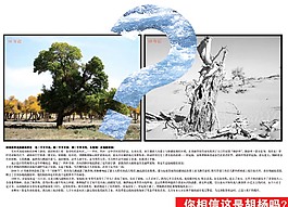 環(huán)境保護(hù)生態(tài)畫(huà)冊(cè)