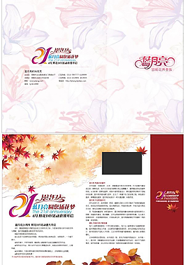 周年庆宣传折页PSD模板