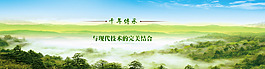 參花消渴茶素材