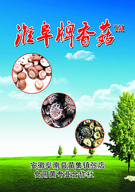 香菇書封面首頁