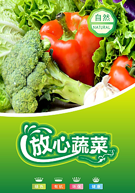 綠色蔬菜海報素材