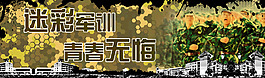 迷彩軍訓(xùn) 青春無悔 大學(xué) 軍訓(xùn)