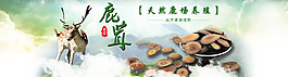 淘寶鹿茸片宣傳頁(yè)