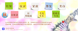 手机客户端美容领域
