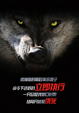 狼性團隊宣傳海報14
