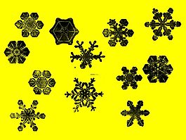 雪花和冰晶圖案PS筆刷