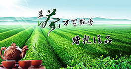 綠茶海報