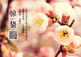 驚蟄海報節氣