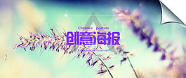 安靜薰衣草創意海報
