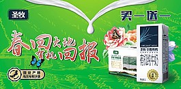 堆头 超市 牛奶促销 圣牧高科