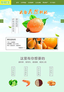 清新 简约 食物 生鲜超市 网页设计
