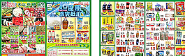夏日盛惠冰爽低价特刊图片