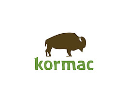 Kormac標志設計