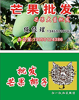 芒果名片設計圖片