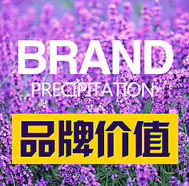 品牌價(jià)值
