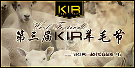 羊毛節手拿牌源文件