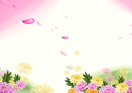 菊花背景