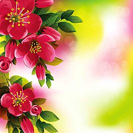 花朵設(shè)計(jì)圖