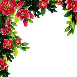 花朵設(shè)計(jì)圖