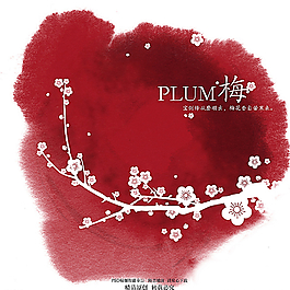 梅花圖片