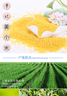 月子米商城詳情頁