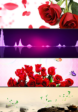 玫瑰花背景