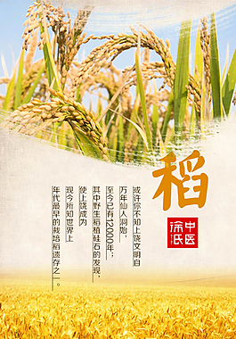 粮食水稻宣传海报设计psd素材