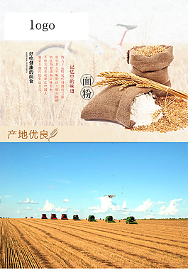 小麥制品詳情頁