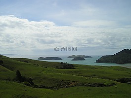 離島,新西蘭,綠色