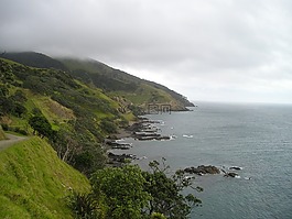 新西蘭,海岸,綠色