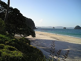 美麗的海灘,新西蘭,海灘