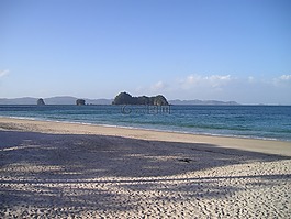 美麗的海灘,新西蘭,海灘