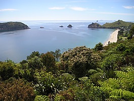美麗的海灘,新西蘭,海灘
