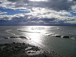 新西兰,海,瓦登海