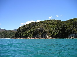 新西蘭,海,水
