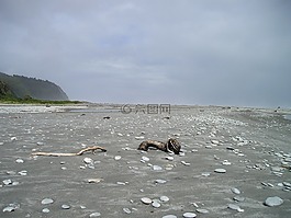 新西蘭,海灘,沙灘