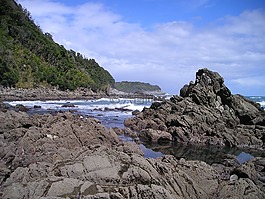 新西蘭,海,海岸