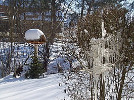 冬天,鳥(niǎo)舍,雪