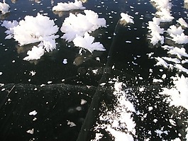 冬天,凍結(jié),湖