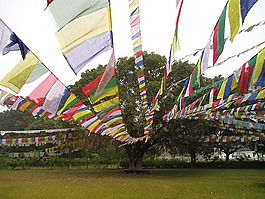 經幡,佛教,隆比尼