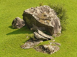 石,弃儿,草地