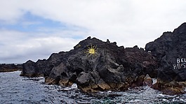 餅干,第三,亞速爾群島