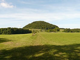 rossberg,白蛋白,施瓦本白蛋白