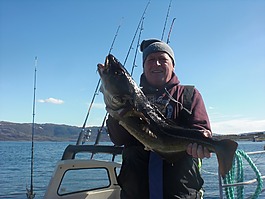 釣魚(yú)者,菲舍爾,化學(xué)需氧量