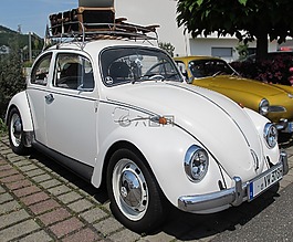 大眾甲殼蟲,oldtimer,甲蟲